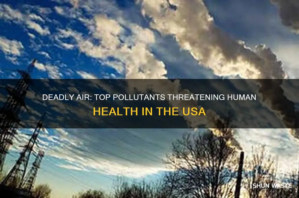 which pollutants are the greatest threat to humans in usa