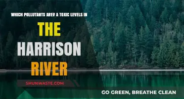 Toxic Threats: Identifying Harmful Pollutants in the Harrison River