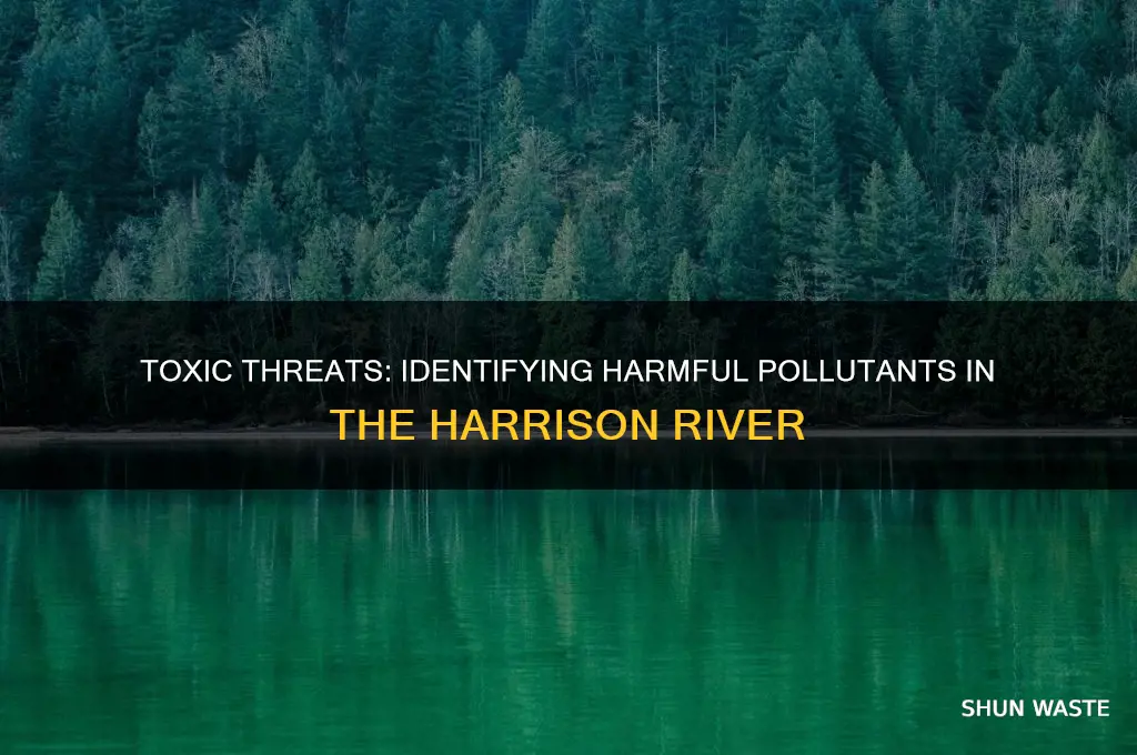 which pollutants arev a toxic levels in the harrison river