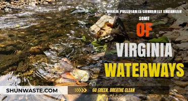 Virginia's Waterways at Risk: Pollutants Threatening Aquatic Ecosystems