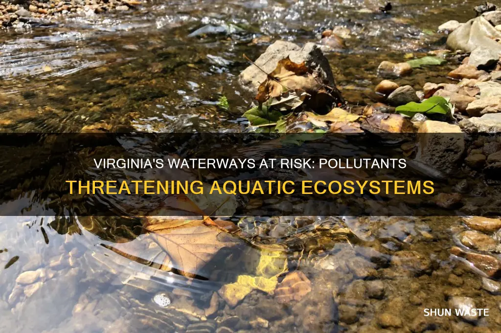 which pollutants currently endanger some of virginia waterways