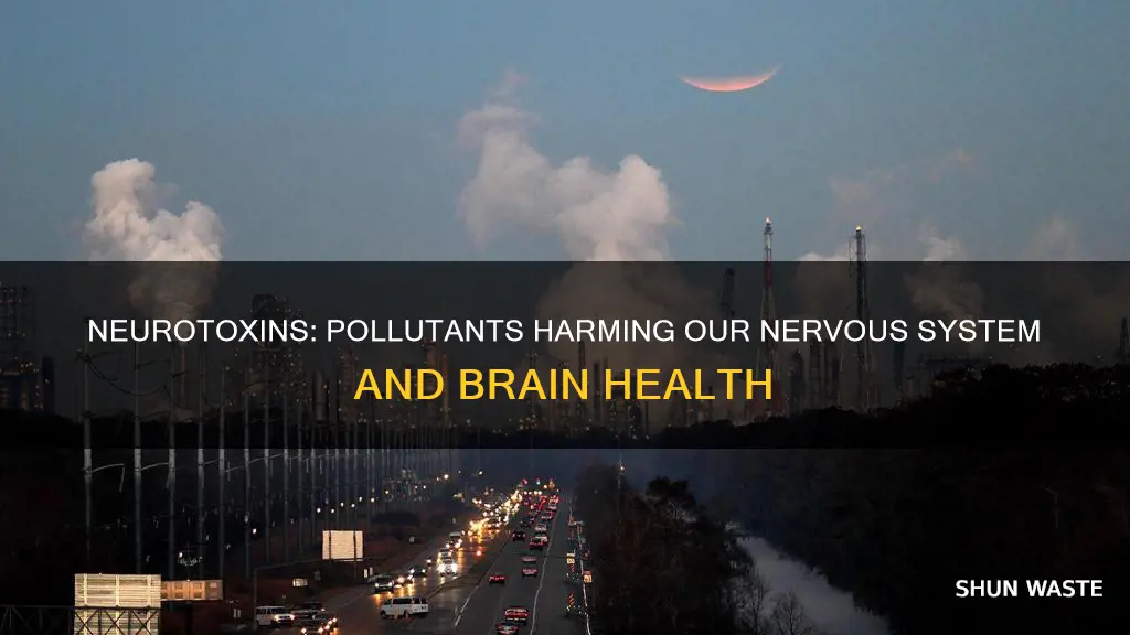 which pollutants directly affect the nervous system lead