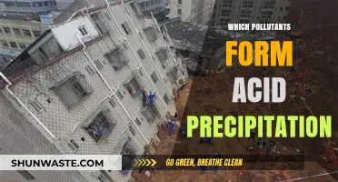 Understanding Acid Rain: Key Pollutants Behind Acid Precipitation Formation
