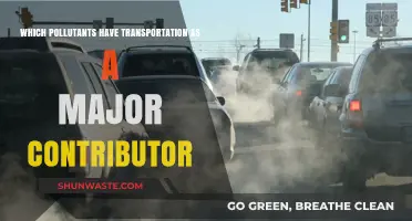 Transportation's Toxic Trail: Key Pollutants Fueled by Vehicles and Transit