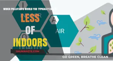 Indoor Air Quality: Surprising Pollutants That Are Rarely Found Inside