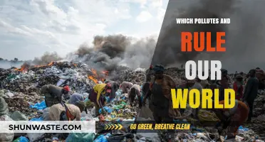 Pollution's Grip: Unveiling the Forces That Rule and Choke Our World