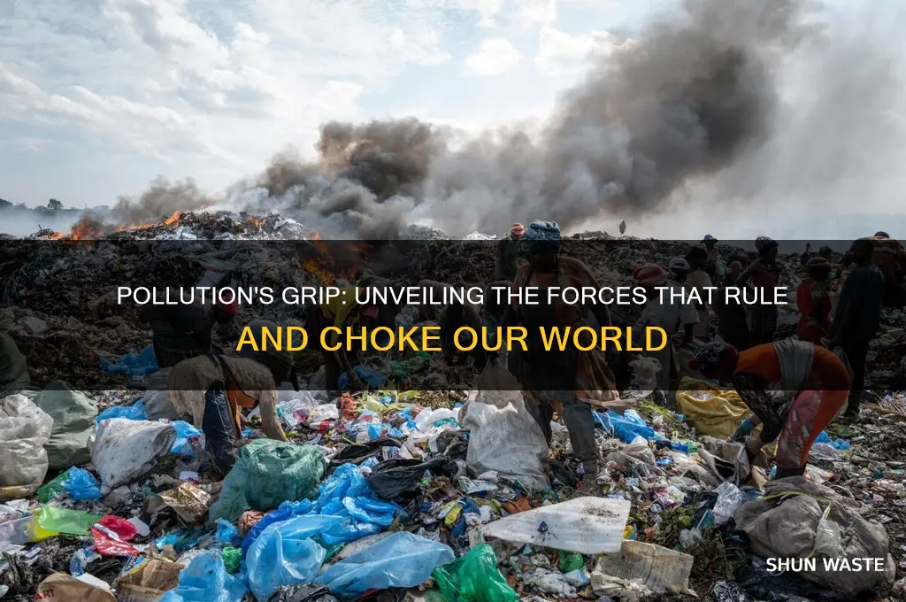 which pollutes and rule our world