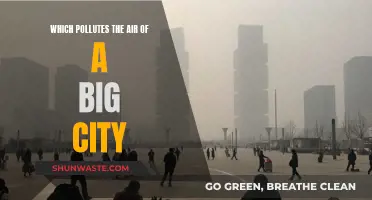 Air Pollution: The Unseen Killer in Big Cities