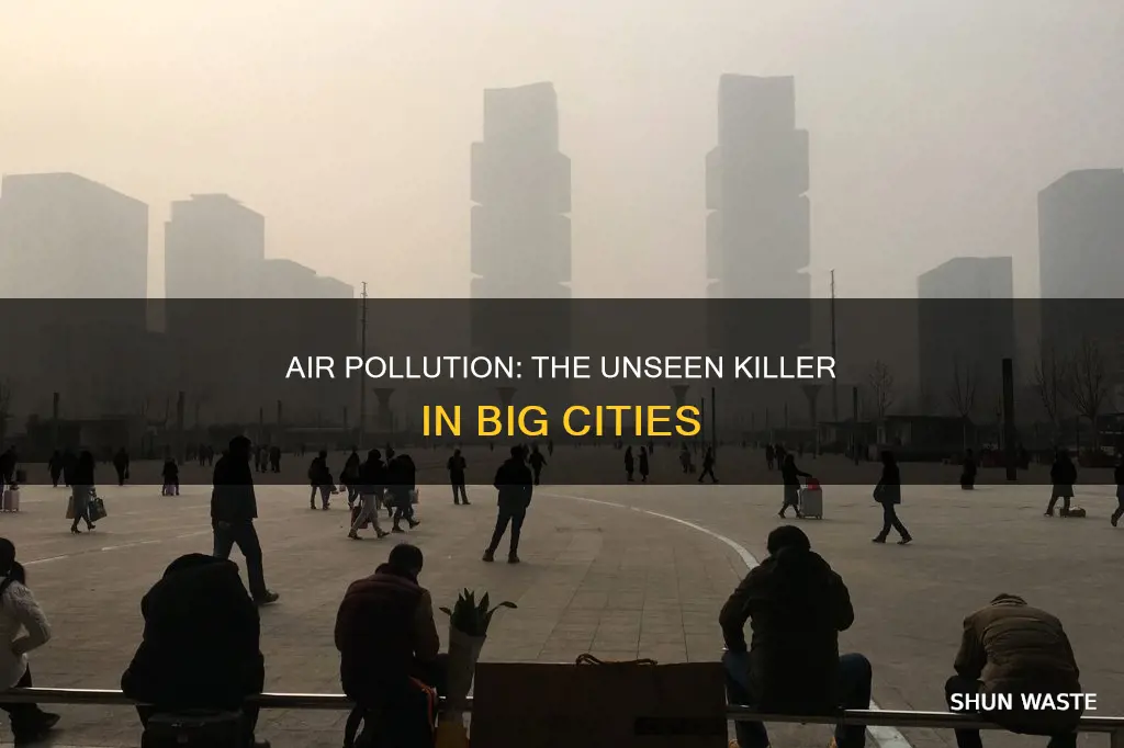 which pollutes the air of a big city