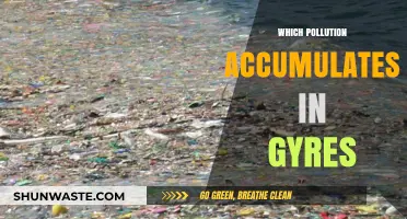 Ocean Gyres: How Plastic Pollution Accumulates in Marine Ecosystems