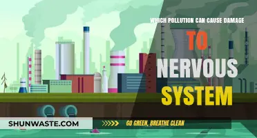 Unveiling the Hidden Threat: Pollutants That Harm Your Nervous System