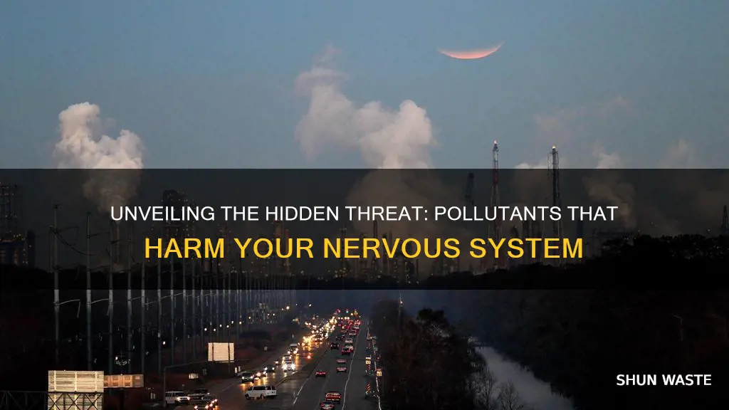 which pollution can cause damage to nervous system