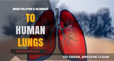Air Pollution's Deadly Impact: Identifying Lung-Damaging Contaminants