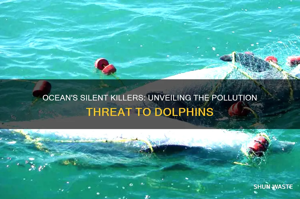 which pollution is real threat to dolphins