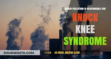 Air Pollution's Hidden Impact: Unraveling Knock Knee Syndrome Causes