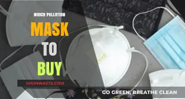 Choosing the Right Pollution Mask: A Comprehensive Buyer's Guide