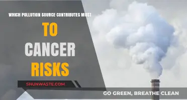 Unveiling the Deadliest Pollutant: Major Cancer Risk Contributor Revealed