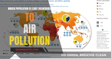 The Least Vulnerable: Air Pollution's Negligible Impact