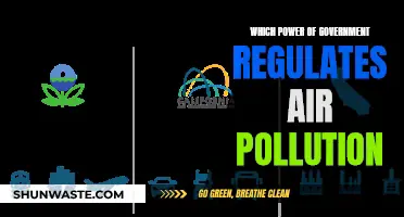 Air Pollution Control: Government Powers