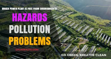 Eco-Friendly Power: Pollution-Free Plants Leading Sustainable Energy Solutions