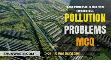 Eco-Friendly Power Plants: Pollution-Free Options Explained in MCQ Format