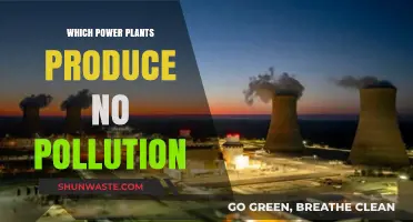 Clean Energy Revolution: Pollution-Free Power Plants Leading the Way