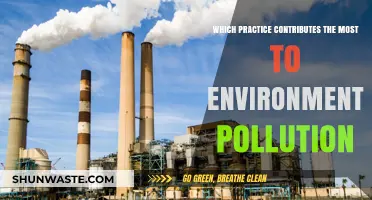 Unveiling the Top Culprit: Practices Fueling Environmental Pollution Crisis