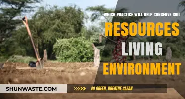 Sustainable Soil Conservation Practices for a Thriving Living Environment