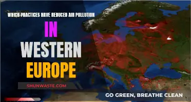 Western Europe's Air Quality Improvement Strategies