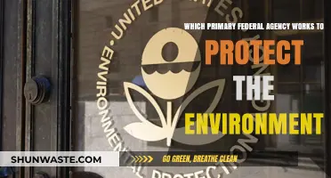 EPA: The Primary Federal Agency Safeguarding Our Environment