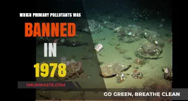 1978 Ban: Primary Pollutants Outlawed to Protect Public Health