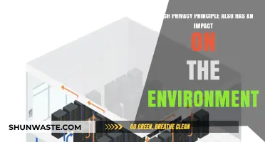 Privacy's Green Impact: How Data Minimization Benefits the Environment