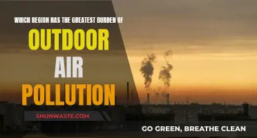 Air Pollution's Global Impact: Regions at Risk