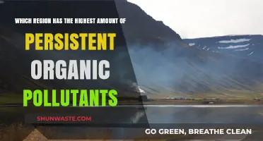 Persistent Organic Pollutants: Identifying the Most Contaminated Global Region