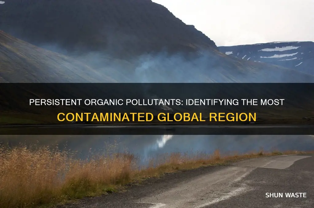 which region has the highest amount of persistent organic pollutants