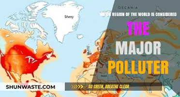 Global Pollution Crisis: Identifying the World's Top Polluting Region