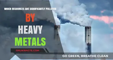 Heavy Metal Contamination: Identifying the Most Polluted Resources