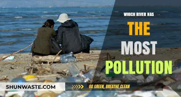 Deadly Waters: The World's Most Polluted River Revealed