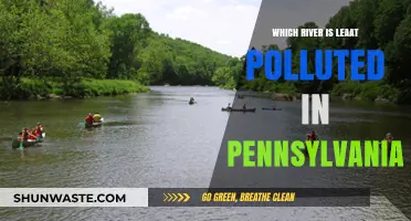 Pennsylvania's Cleanest River: Discovering the Least Polluted Waterway