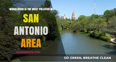 San Antonio's Most Polluted River: Uncovering the Troubled Waters