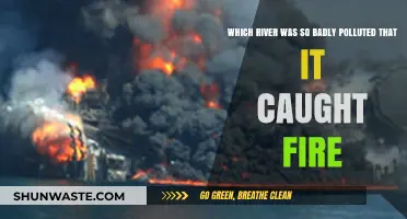 The Infamous River Fire: A Tale of Extreme Pollution and Neglect