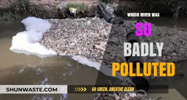 The Shocking Tale of a River's Toxic Transformation and Revival