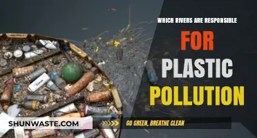 Rivers Choking Our Oceans: Major Culprits Behind Global Plastic Pollution