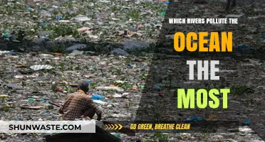 Top River Polluters: How Major Waterways Contaminate Our Oceans
