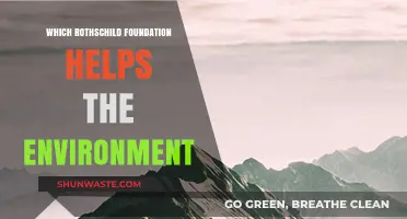 Rothschild Foundations Leading Environmental Conservation and Sustainability Efforts