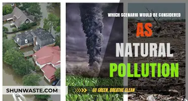 Understanding Natural Pollution: Scenarios Beyond Human Influence Explained