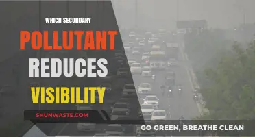 How Secondary Pollutants Like Ozone and Particulates Reduce Visibility