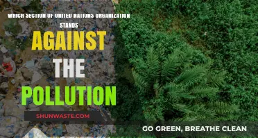 UNEP: The UN's Frontline Against Global Pollution Crisis