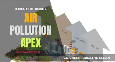 Air Pollution: Understanding the Apex Description
