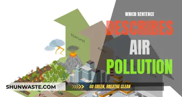 Air Pollution: Understanding the Harmful Impact